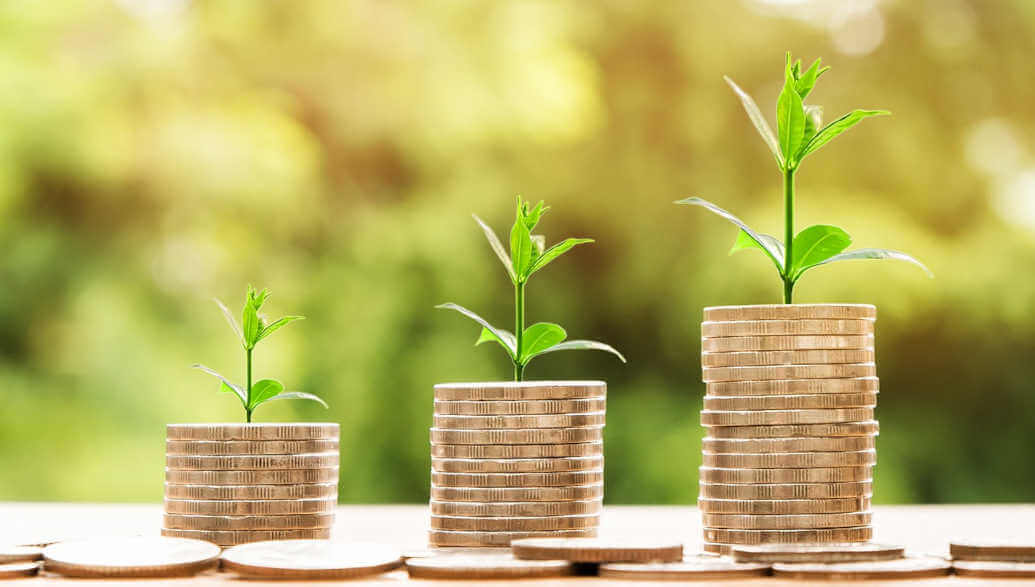 Three coin towers on a table with plants growing from the coin towers.