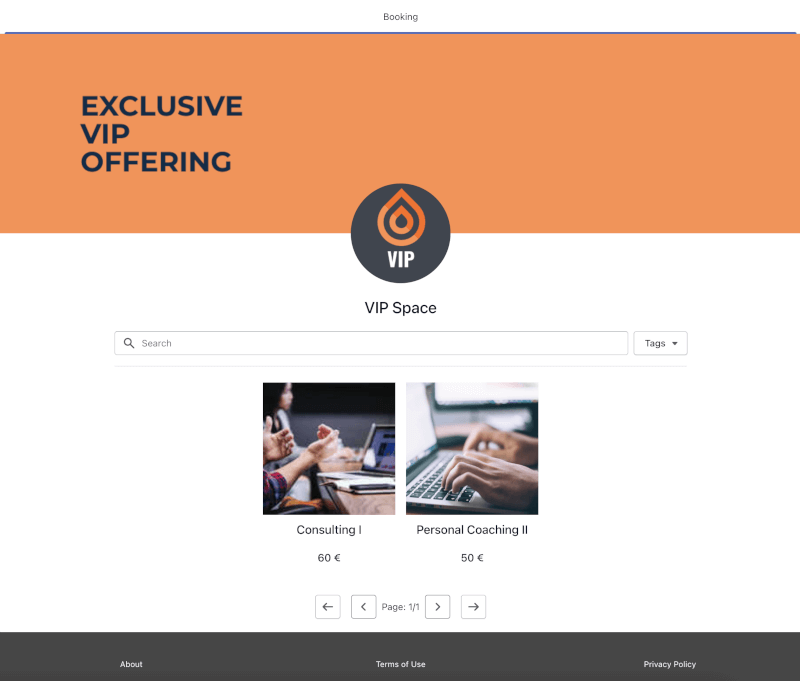 A VIP booking page is displayed where clients can book a consulting and a personal coaching product.