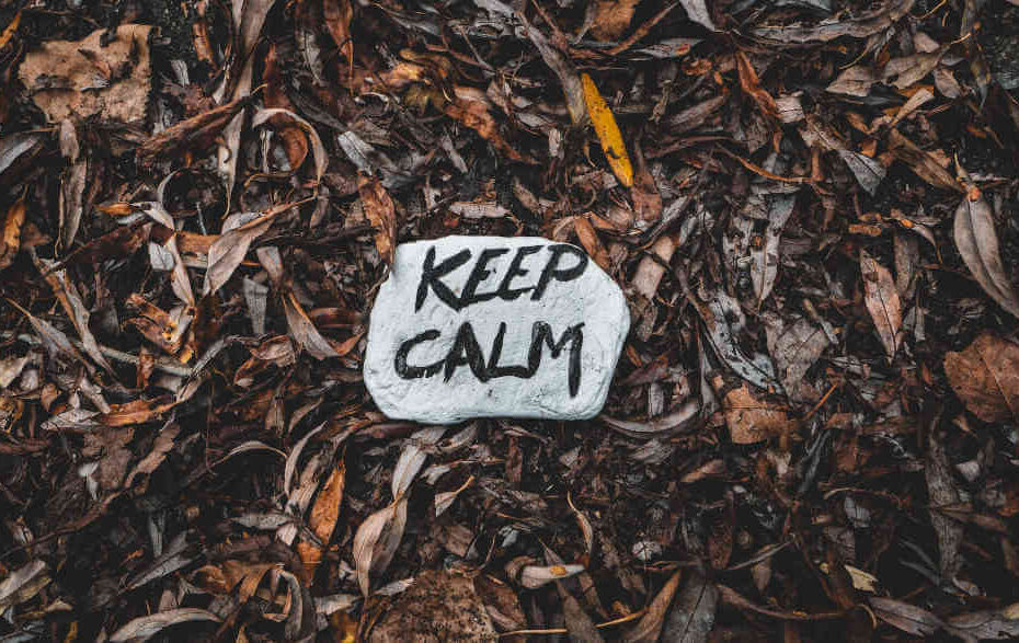 A keep calm stone is lying on top of leaves.
